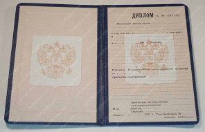 Диплом ПТУ 1993-2006 года